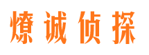 淮阳市场调查